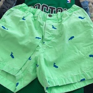 Abercrombie Shorts